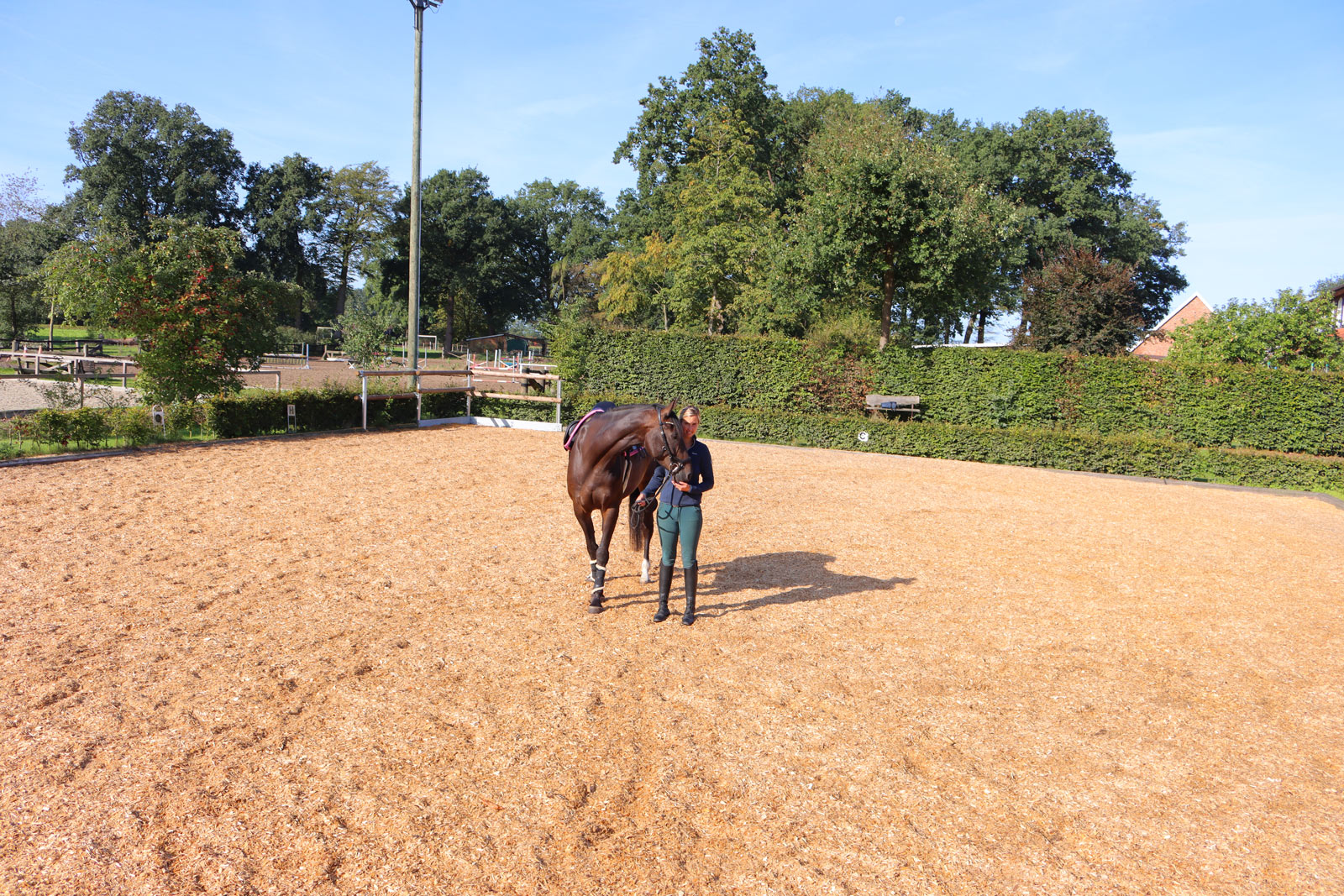 Reitplatz bauen mit Herz & concept