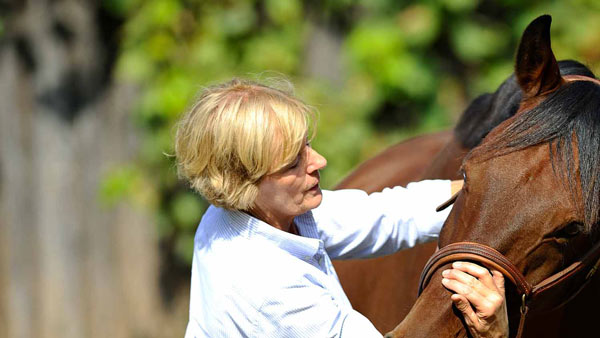 CHIO 2018  - Beatrix Schulte Wien: Alle Richter und Stewards müssten eine Prüfung in funktioneller Reitlehre ablegen