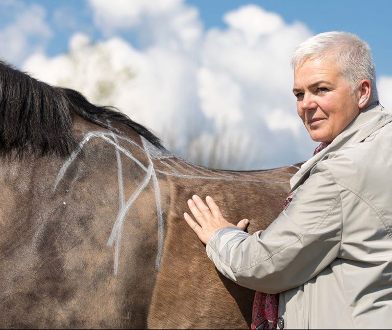 CHIO 2018 – Kriemhild Morgenroth sorgt für Aufschrei