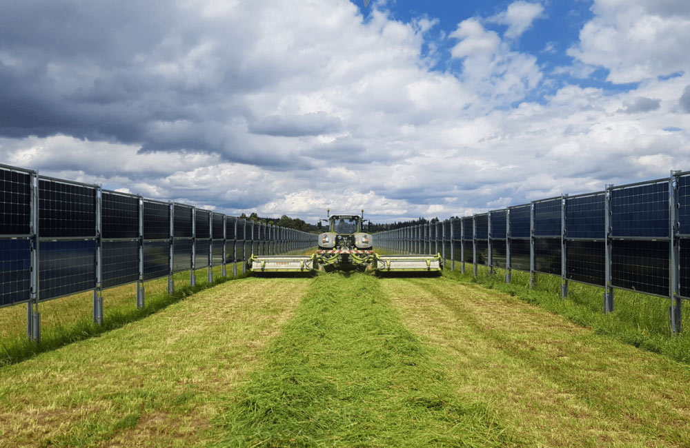 Mit Agri-Photovoltaik und dem Solarzaun auf Wiesen und Weiden Energie erzeugen