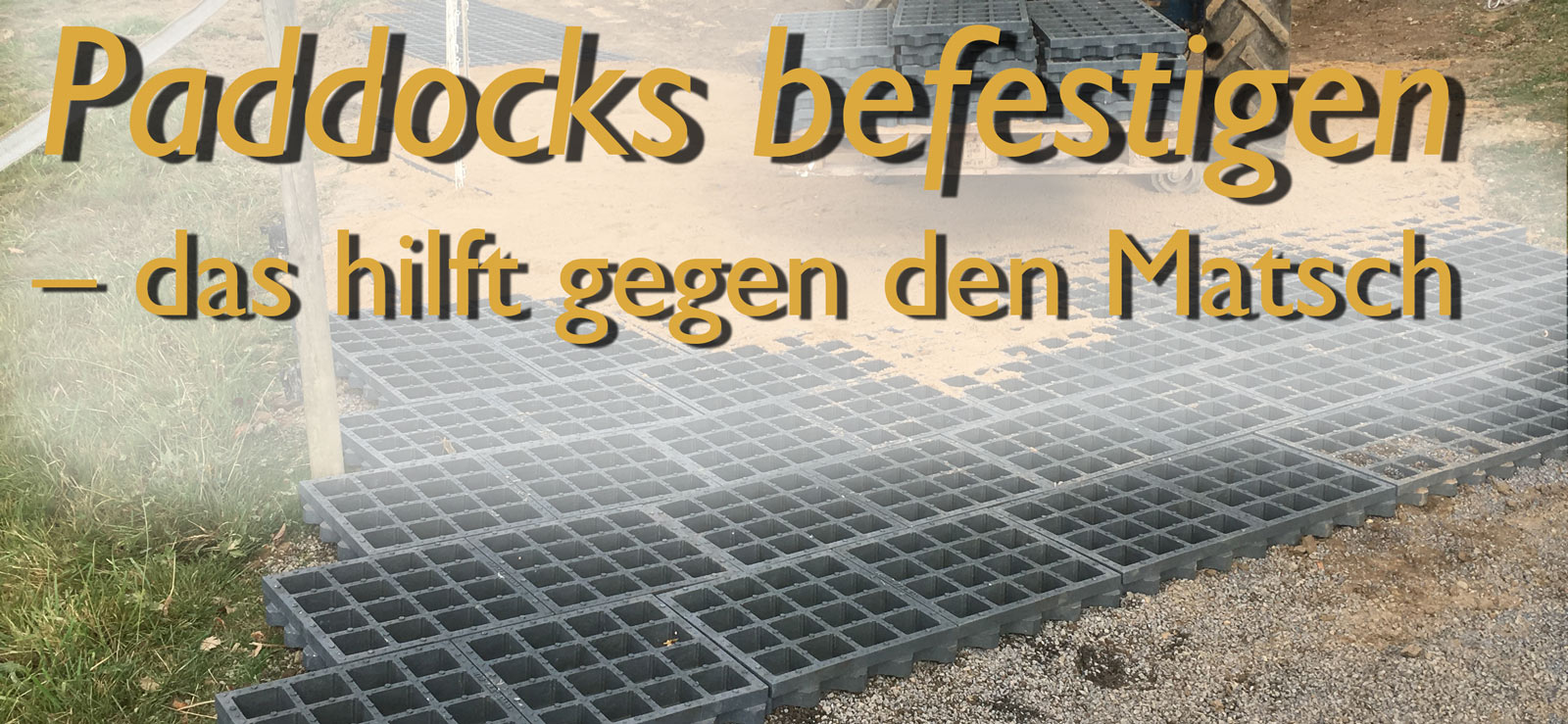 Paddocks befestigen – das hilft gegen den Matsch