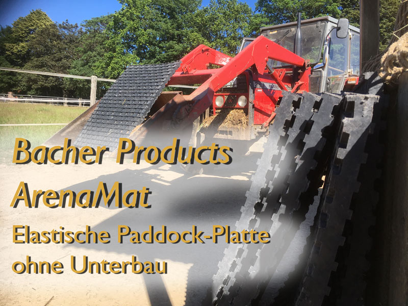 Country Reiten Paddock Platten ohne Unterbau – Bacher Products ArenaMat. Test bestanden!
