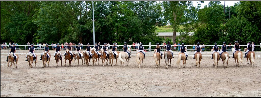 Haflingerfest im Elsass