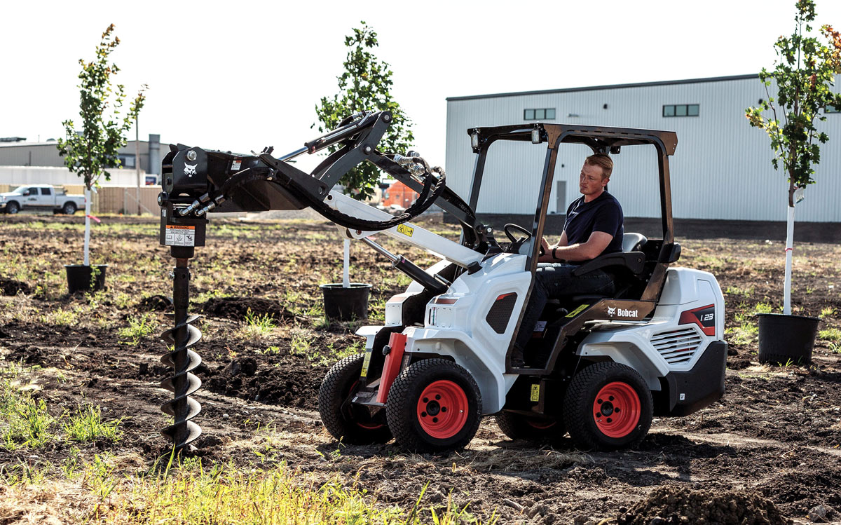 bobcat2