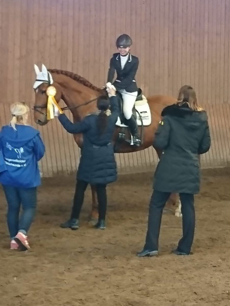 Sport und gute Haltungsbedingungen? Reitsportzentrum Birkenhof geht diesen Weg