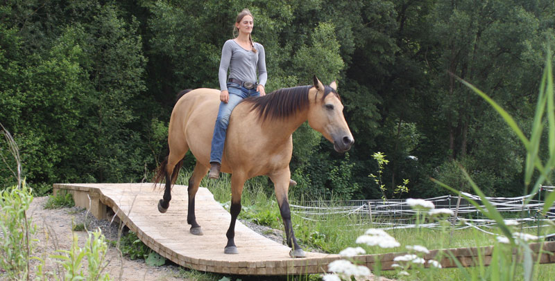 Extreme-Trail Pauwels – Herausforderung für Pferd und Reiter