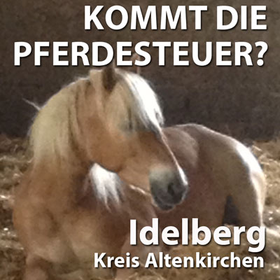 Pferdesteuer soll asoziale Pferdebesitzer aus Idelberg fernhalten