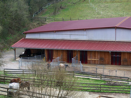  Aus für die Hainsmühle - Pferdebetrieb in Bad Sooden-Allendorf durch Pferdesteuer ruiniert