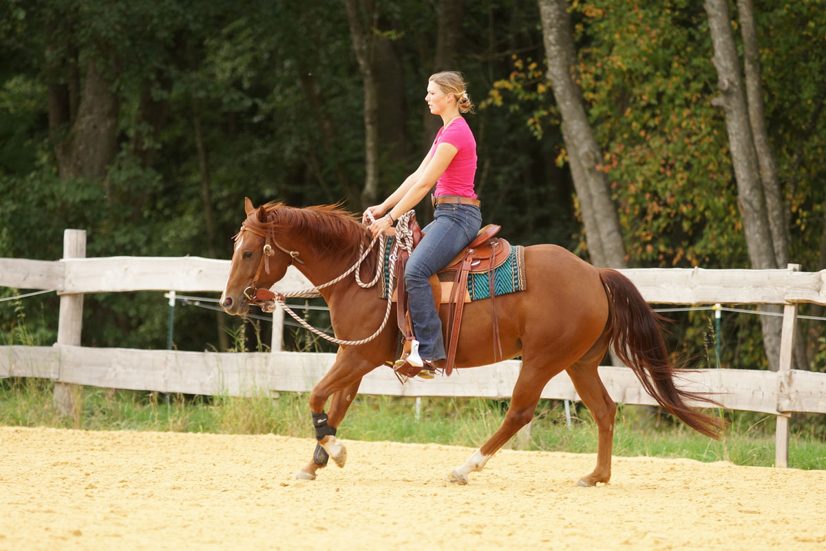 reitend