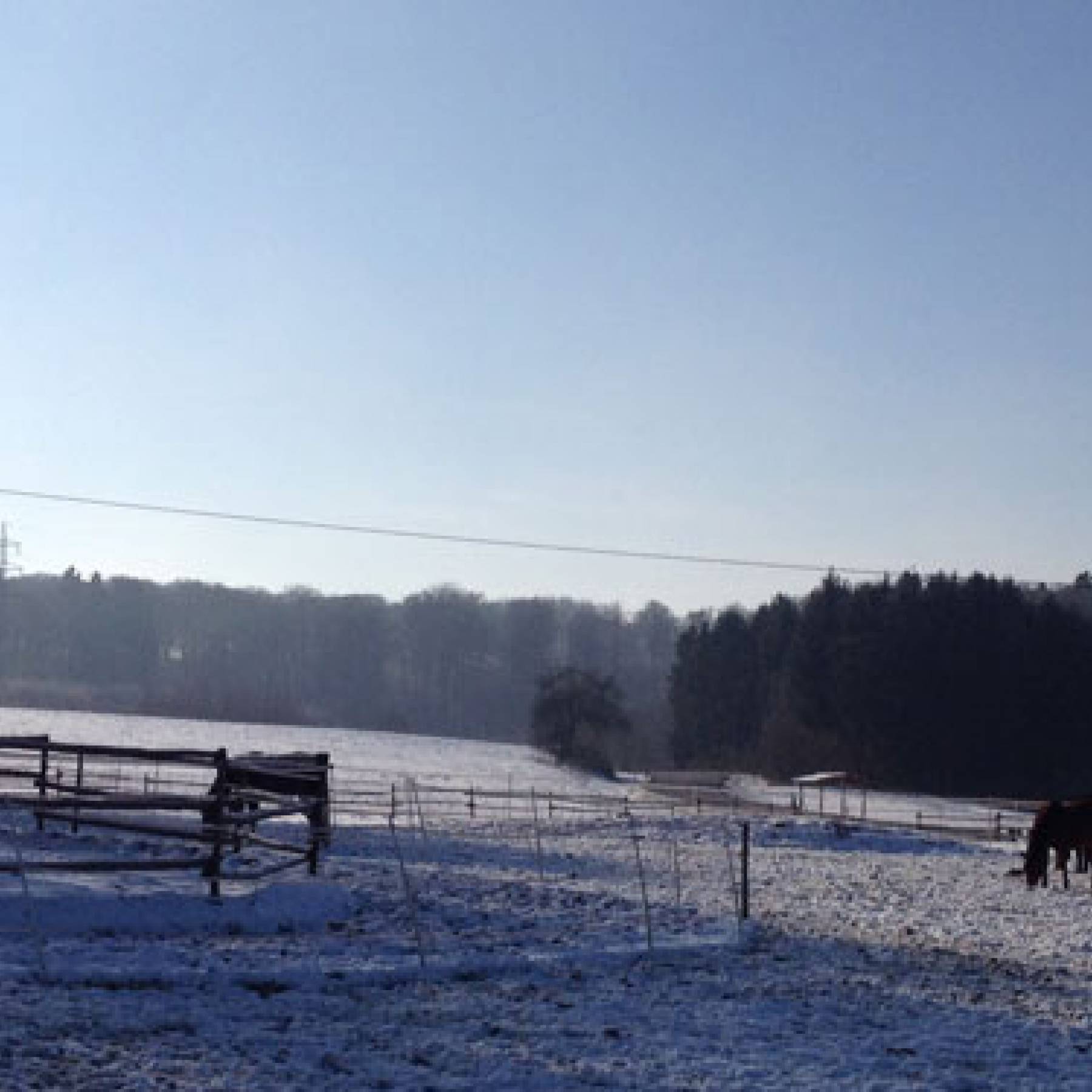 Country Reiten wünscht ein gutes Neues 2021 und …