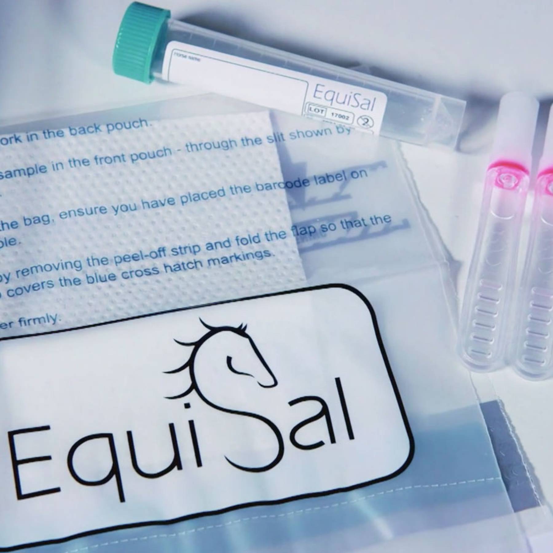 EquiSal: Dem Bandwurm auf der Spur – Testen statt entwurmen?