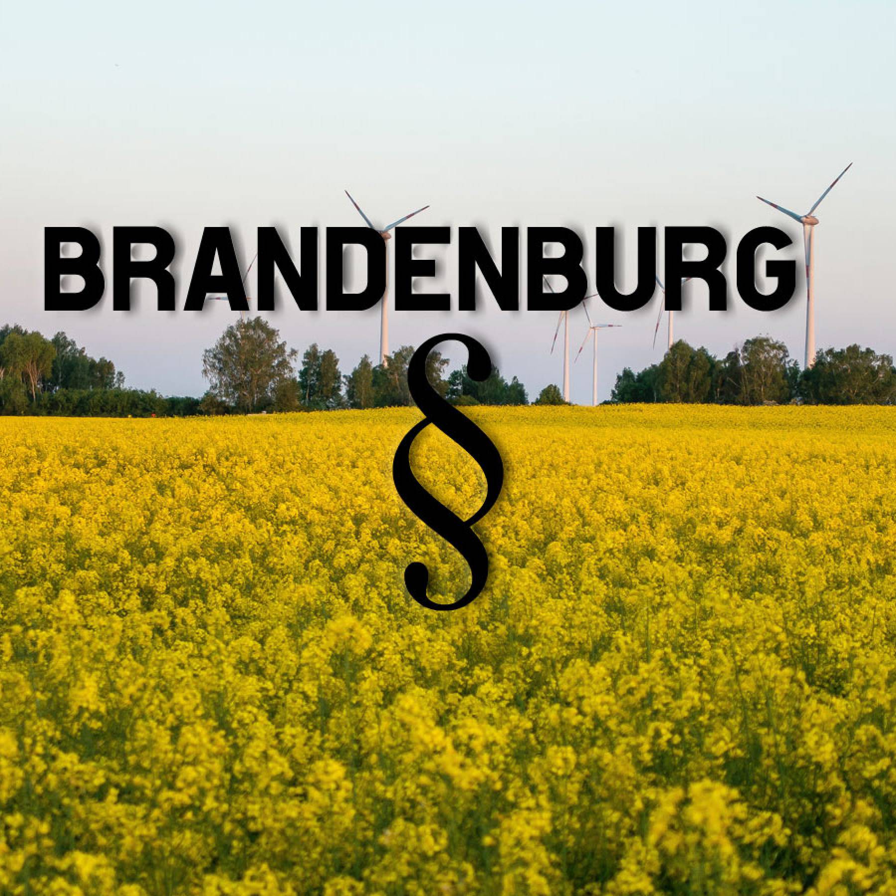 Brandenburg: Rechtliche Rahmenbedingungen beim Reitplatzbau