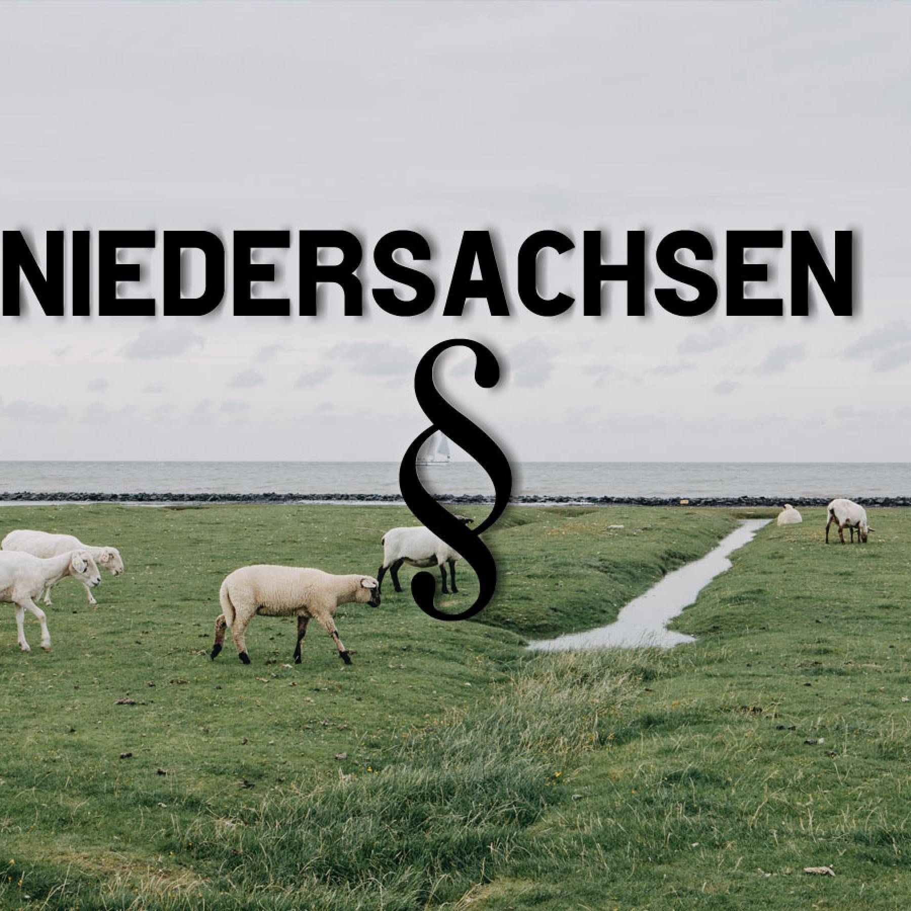Niedersachsen: Rechtliche Rahmenbedingungen beim Reitplatzbau