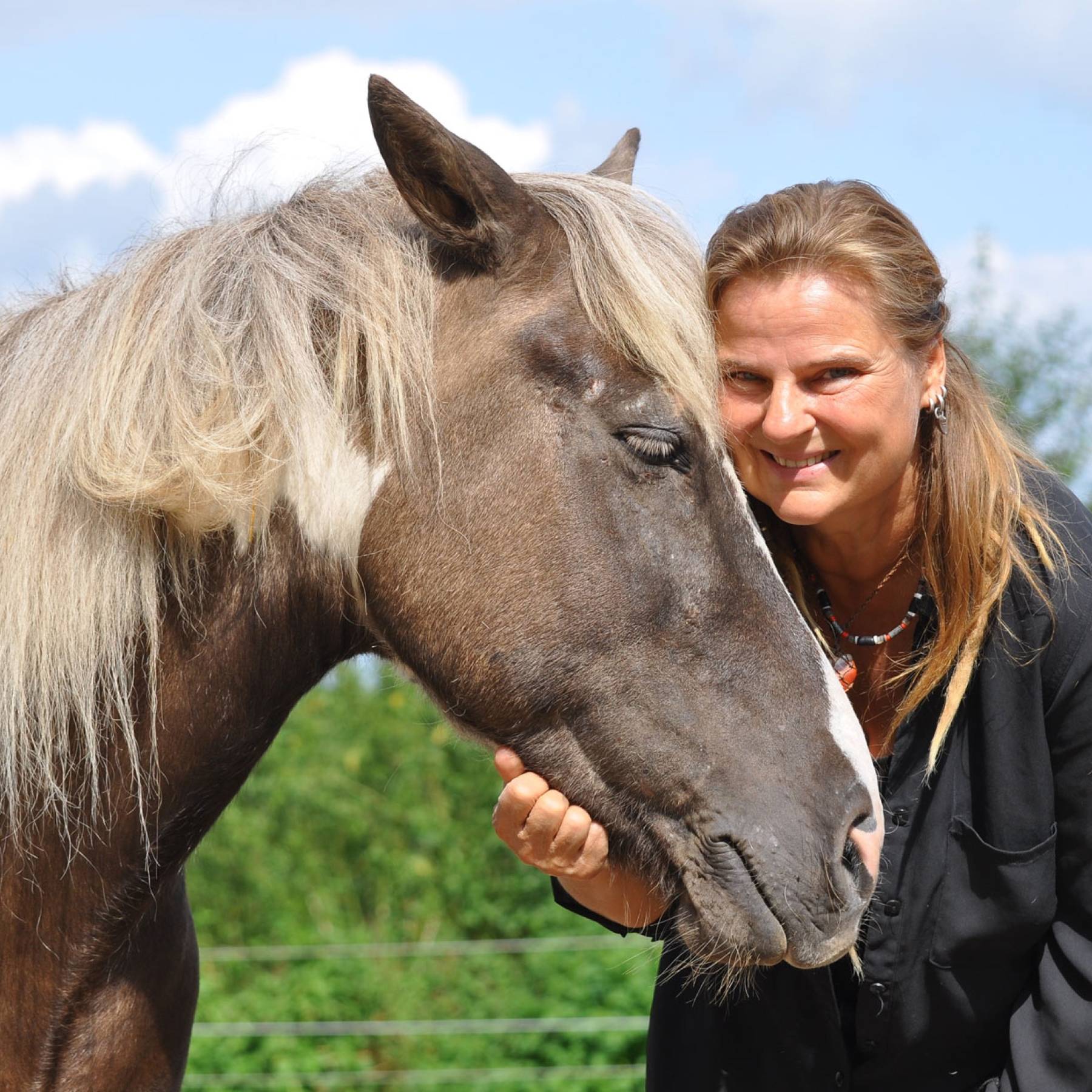 Aufregung um die neuen Pferdeprofis: Babette Teschen fordert mehr Geduld und Verständnis
