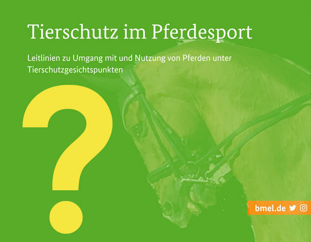 Neue Leitlinien für den Pferdesport – viele Fragen, einige Antworten